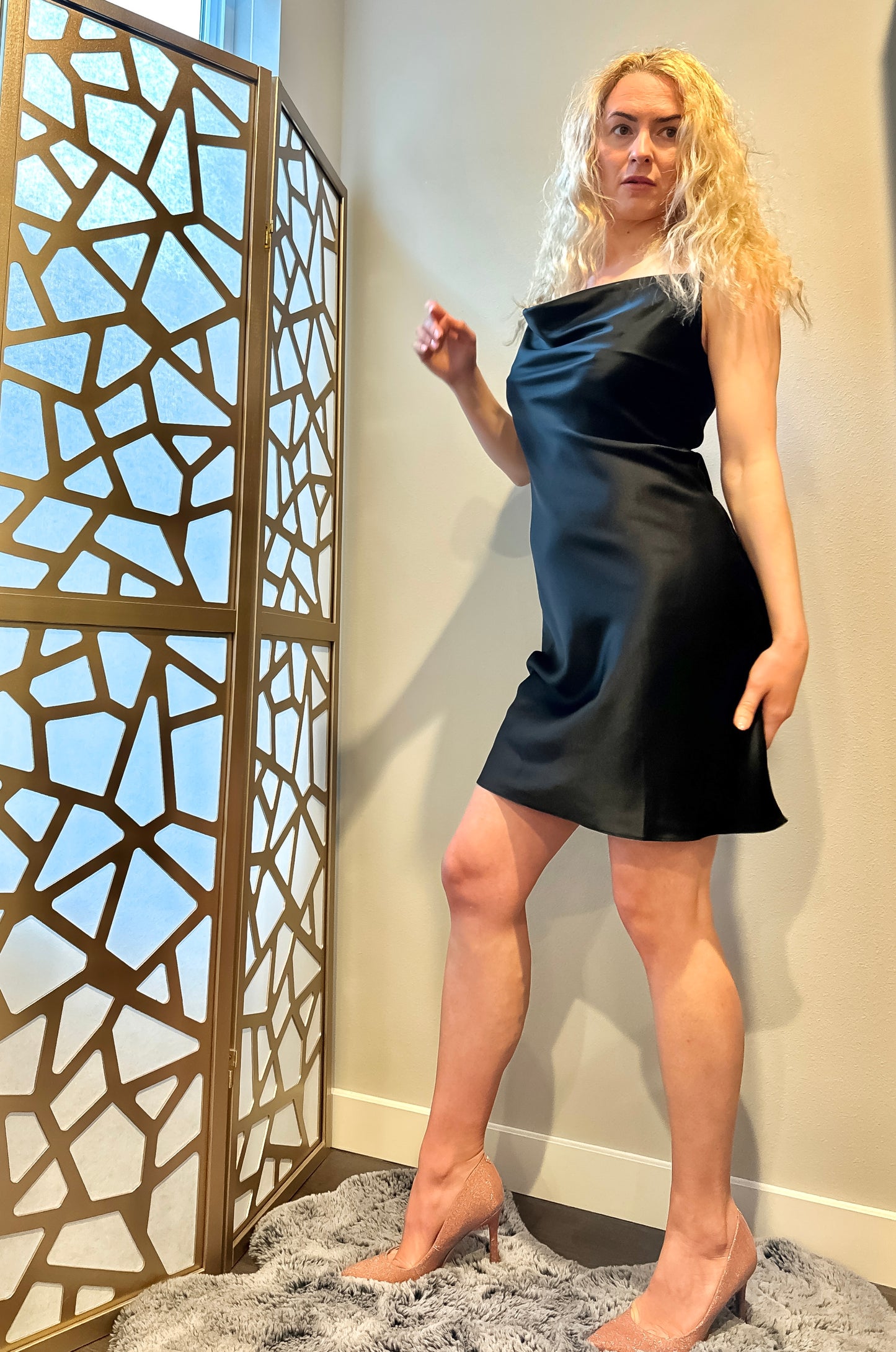 Noir Elegance Silk Dress (19 mm Silk)