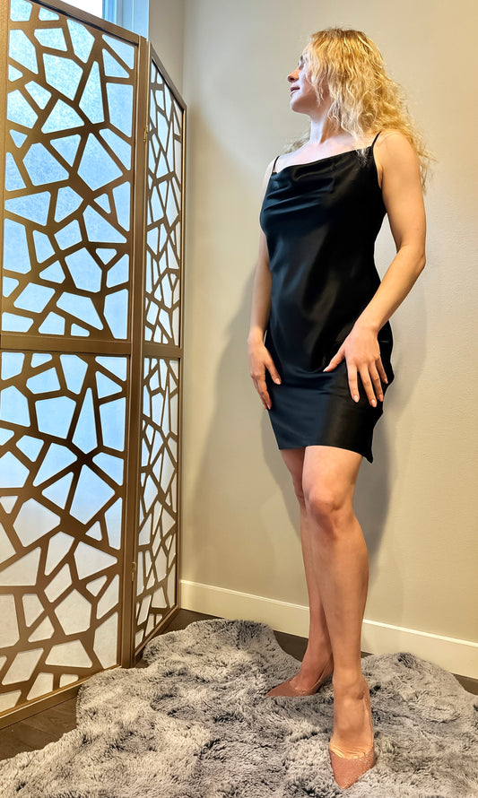 Noir Elegance Silk Dress (19 mm Silk)